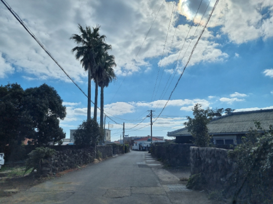 踮 ȴ  α â Ÿ 